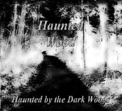 Haunted by the Dark Woods